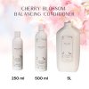 japanese head spa cherry blossom scalp care