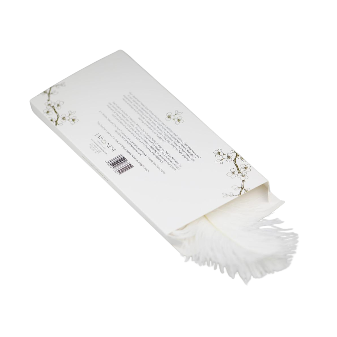 ostrich feathers 2 Real Natural White Ostrich Feathers (Pack of 2)
