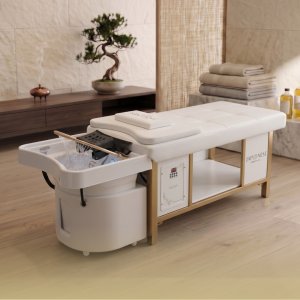 20 Japanese Head Spa White Full Bed Hybrid Unit with Gold Frame- PLUMBED (inc. Steamer, Steamer Hood & Water Heater)