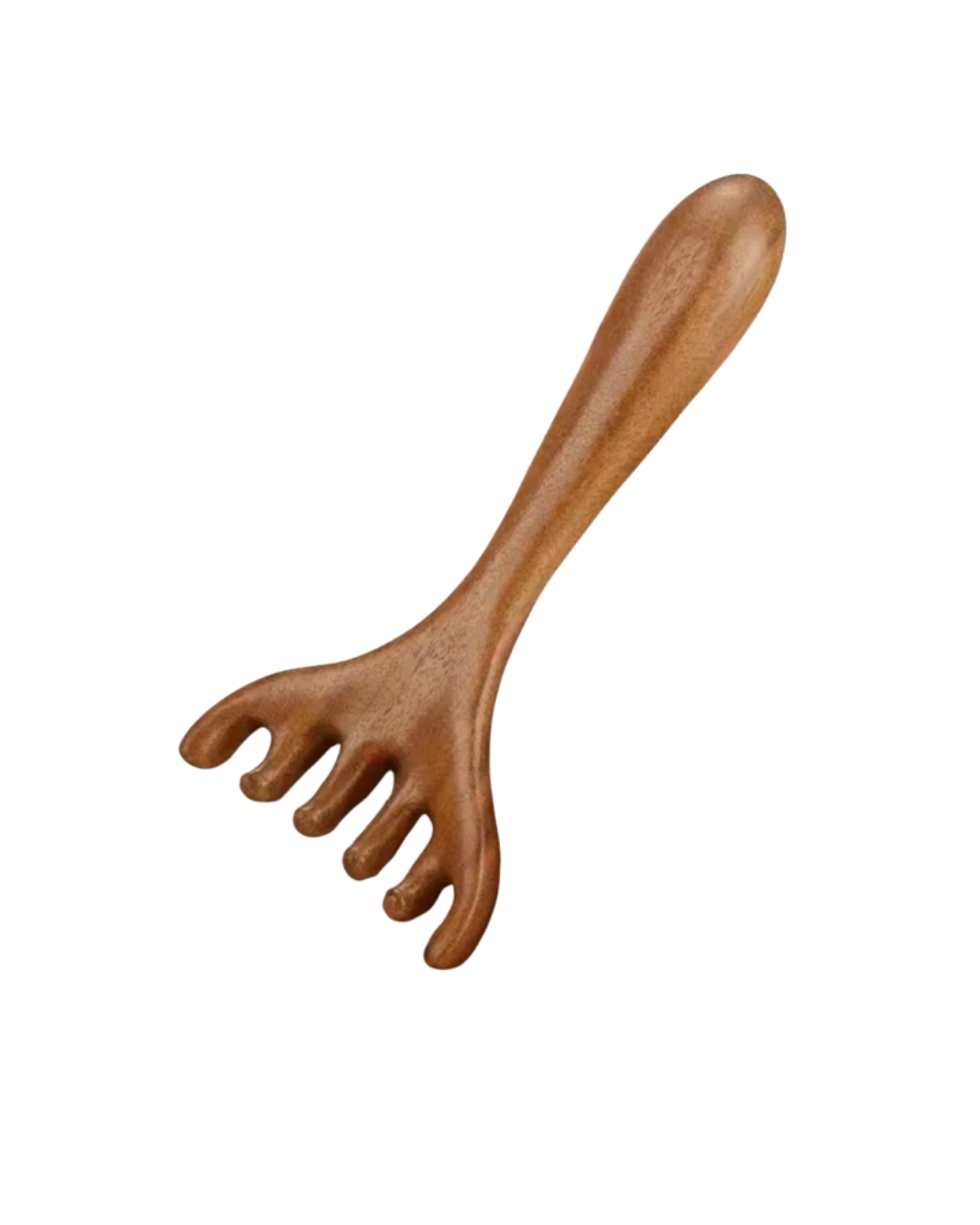 antler masage tool Wooden Antler Scalp Massager (1pcs)