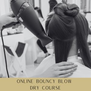 Online Bouncy Blow Dry Course