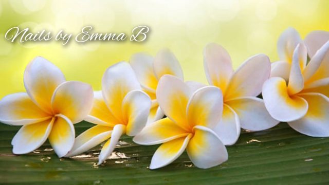 Emma-B1