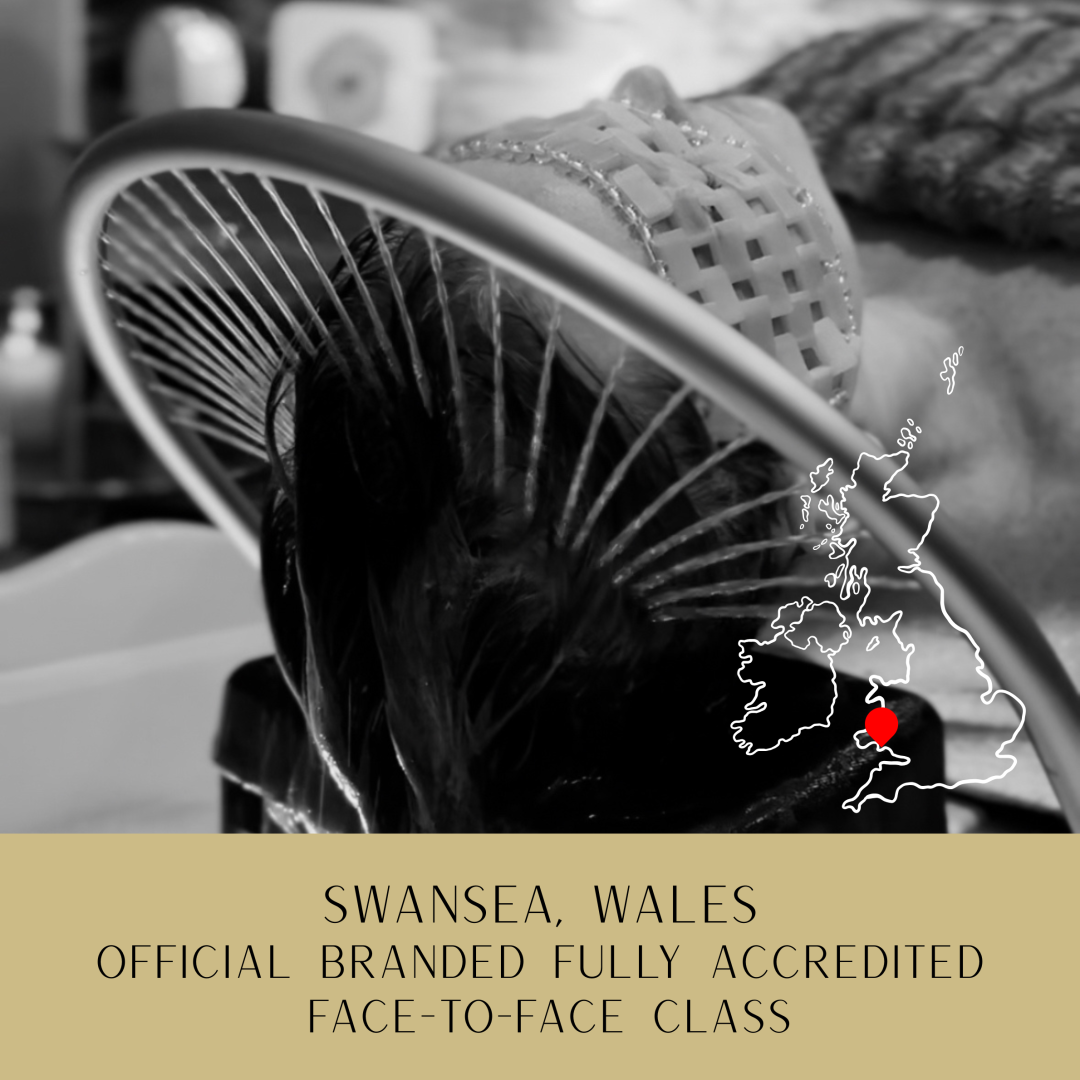 SWANSEA - Face-To-Face Japanese Head Spa Course