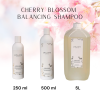 Cherry Blossom Balancing Shampoo– Japanese Head Spa professional hair and scalp care, vegan, cruelty-free, premium luxury Cherry Blossom Balancing Shampoo– Japanese Head Spa professional hair and scalp care, vegan, cruelty-free, premium luxury