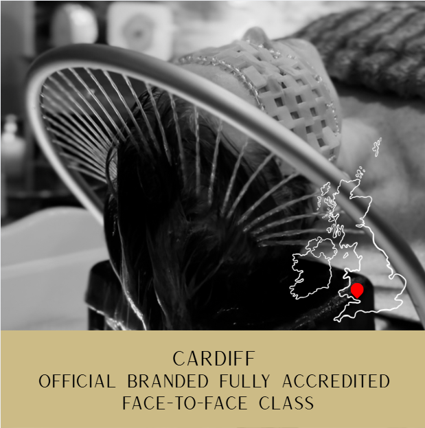 CARDIFF - Face-To-Face Japanese Head Spa Course