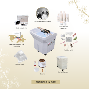BUSINESS IN A BOX: White Non-Plumbed Japanese Head Spa Unit with Face-To-Face Training Package