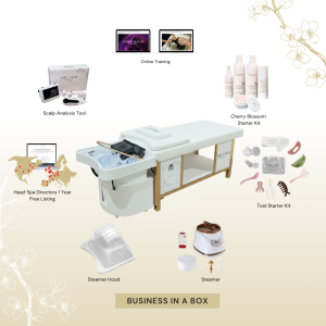 BUSINESS IN A BOX: White Plumbed Japanese Head Spa Full Bed Unit with Online Training Package