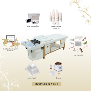 BUSINESS IN A BOX: White Plumbed Japanese Head Spa Full Bed Unit Package (No Training Included)