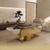 BUSINESS IN A BOX: Japanese Head Spa Fawn Full Bed with integrated Foot Spa  **HEIGHT ADJUSTABLE** with Electric Back Rest – PLUMBED