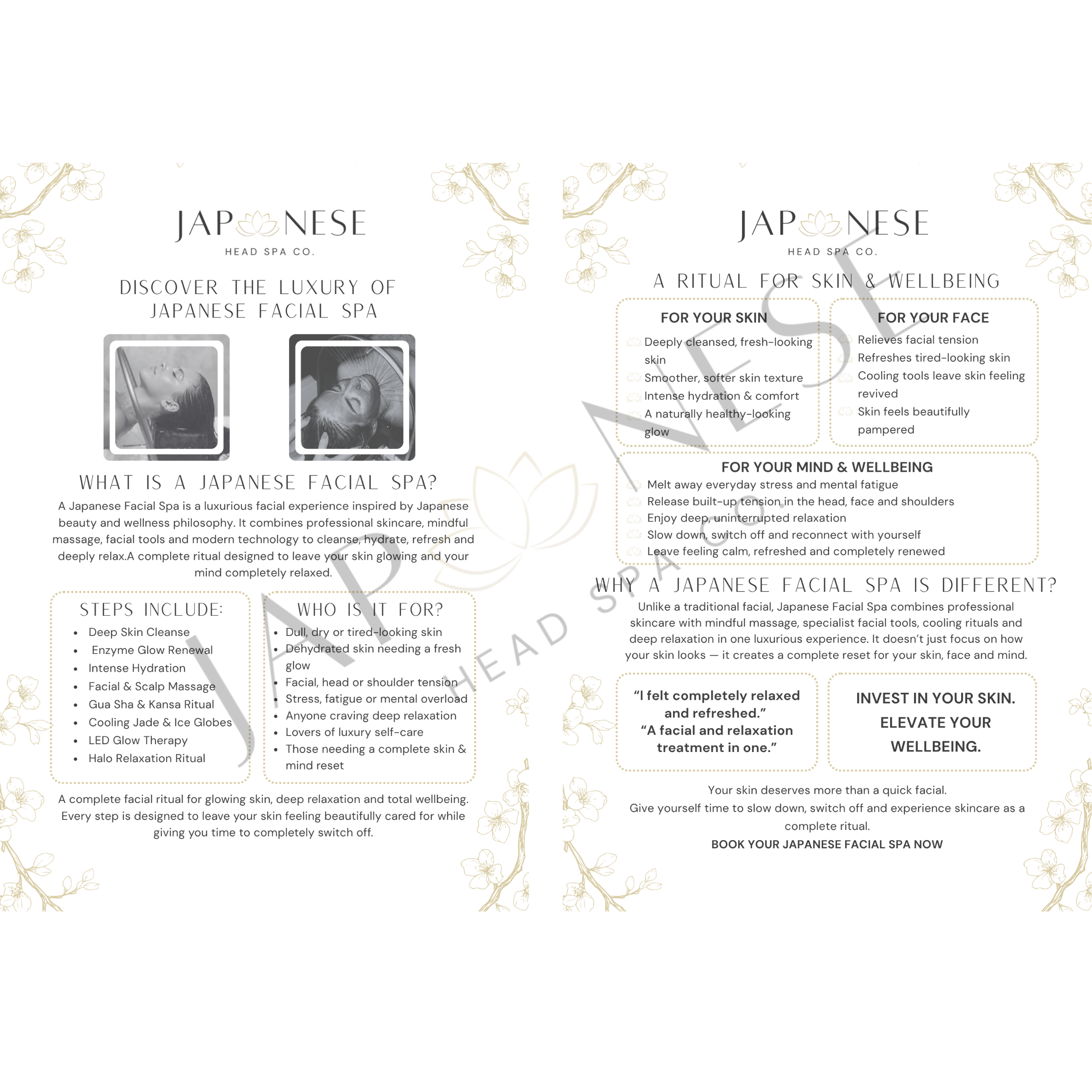 Japanese Facial Spa Information Leaflet – 25 Packs